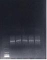 2015년 9월 21일 (월) 02:46 판의 섬네일