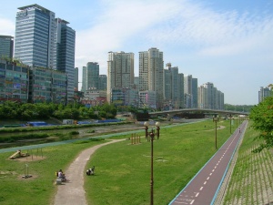 분당구 정자동