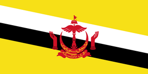 브루나이국기.png