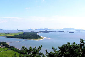 증도