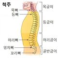 2015년 8월 22일 (토) 02:45 판의 섬네일
