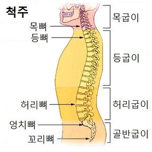 척주.jpg