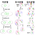 2015년 8월 22일 (토) 02:58 판의 섬네일