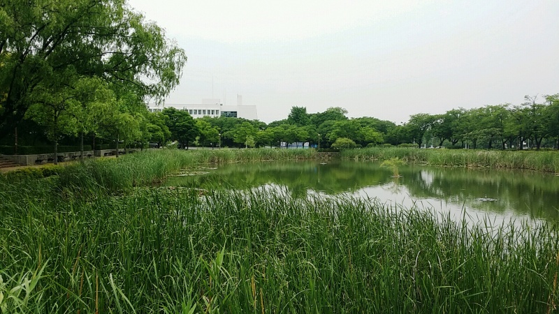 파일:영대거울못.jpg