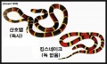 2015년 7월 22일 (수) 02:06 판의 섬네일