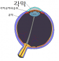 2015년 7월 13일 (월) 10:38 판의 섬네일