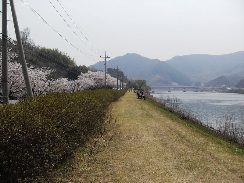파일:섬진강변.jpg