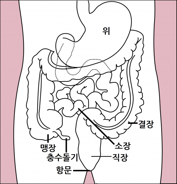 파일:하부소화기.png