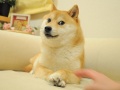 2015년 7월 20일 (월) 16:24 판의 섬네일