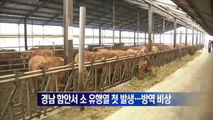 소유행열뉴스.jpg