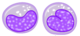 단핵구그림.png