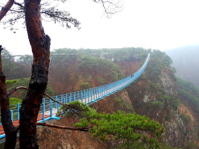 파일:소금산출렁다리.jpg
