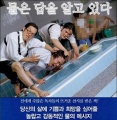 2015년 7월 21일 (화) 17:15 판의 섬네일