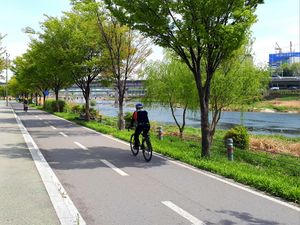 살곶이체육공원.jpg