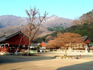선운사.jpg