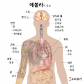 2015년 7월 27일 (월) 14:48 판의 섬네일