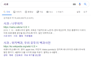 사과검색.png