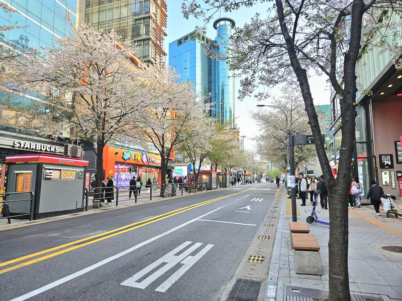 파일:연세로2025.jpg