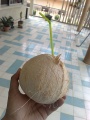 코코넛음료.jpg
