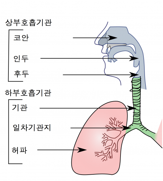 파일:공기통로.png