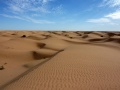 사하라사막.jpg