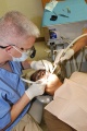 치과의사.jpg